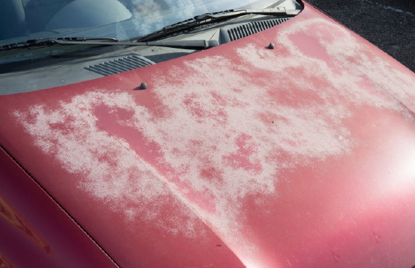 Coat Damage